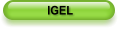 IGEL