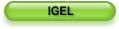 IGEL