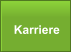 Karriere