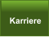 Karriere